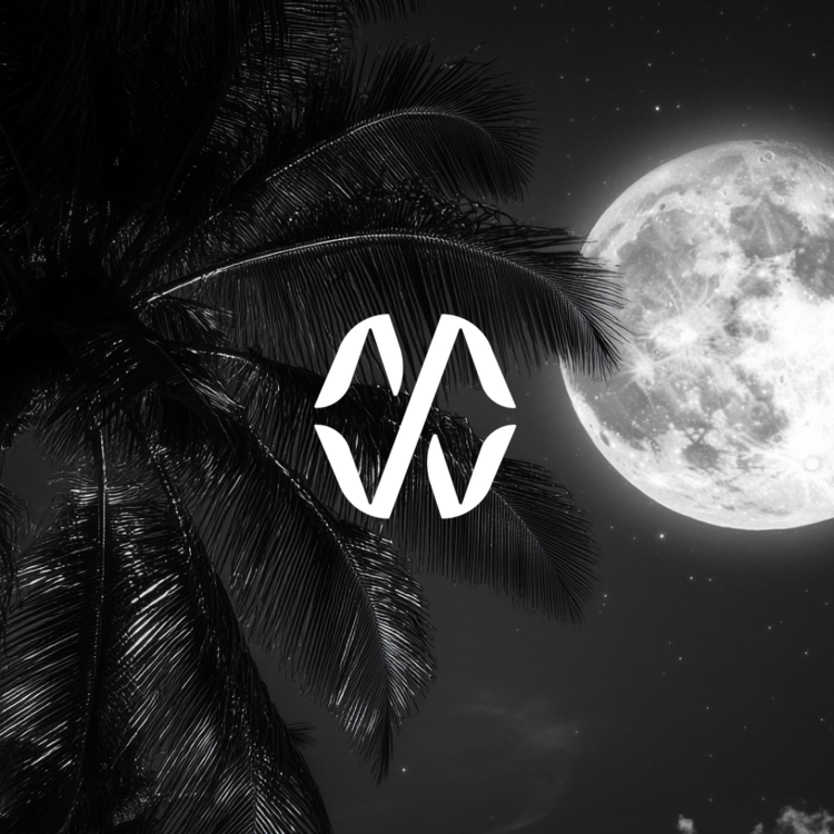 Palm Tree in Moonlight
